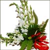 Adoration - Click here to View more details about this Product